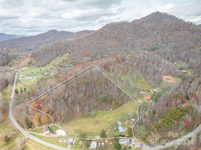 birds eye view of property with a mountain view