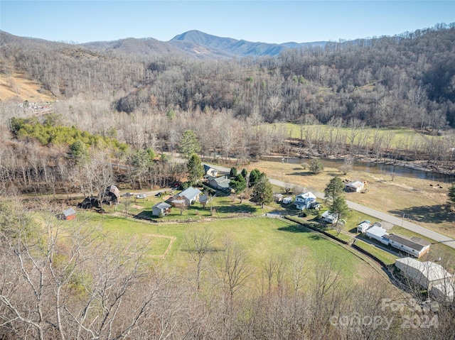 aerial view with a mountain view