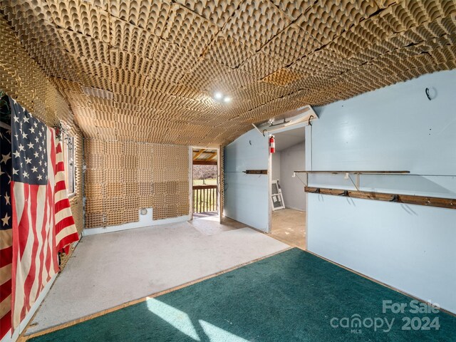 miscellaneous room featuring carpet floors and vaulted ceiling