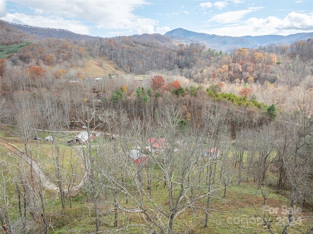 property view of mountains