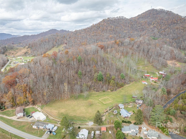 bird's eye view featuring a mountain view