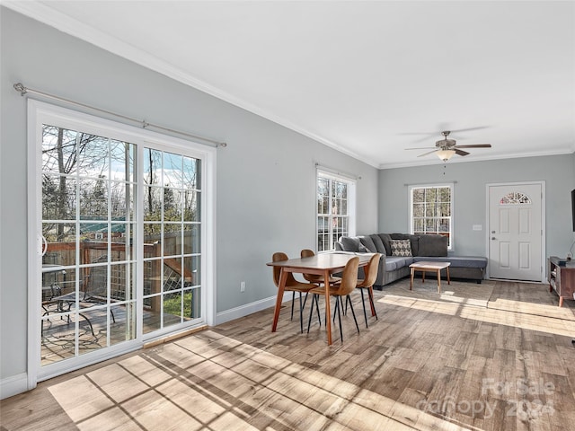 dining area featuring ornamental molding, a wealth of natural light, and light hardwood / wood-style flooring