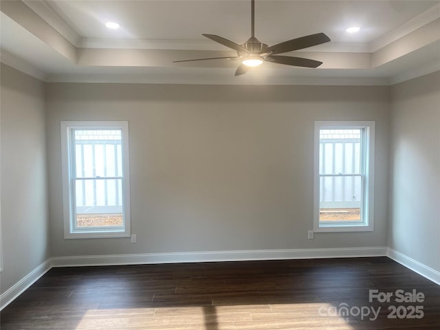 spare room with a healthy amount of sunlight, a raised ceiling, and dark wood-type flooring