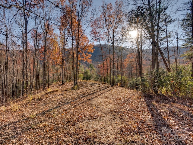 263 Nuthatch Ln, Black Mountain NC, 28711 land for sale