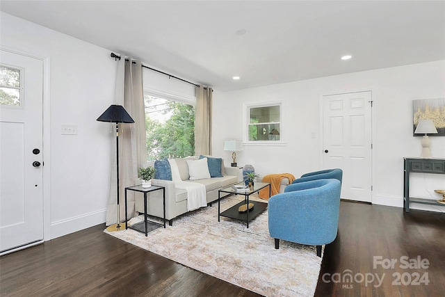 living room with dark wood-type flooring