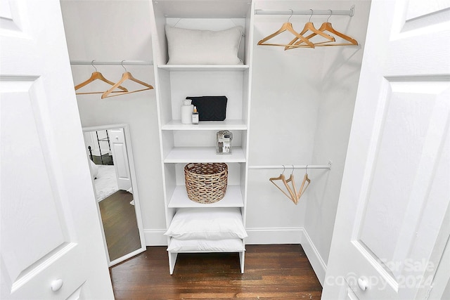 spacious closet featuring wood-type flooring