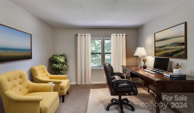 carpeted home office with a textured ceiling