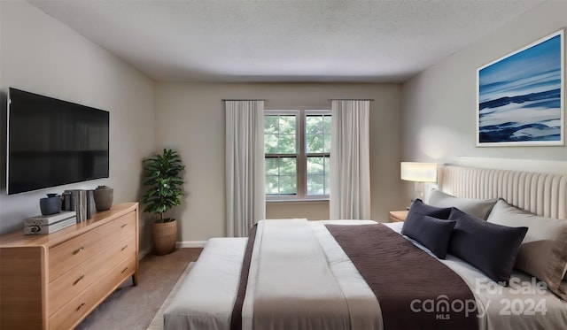 bedroom with a textured ceiling and light carpet