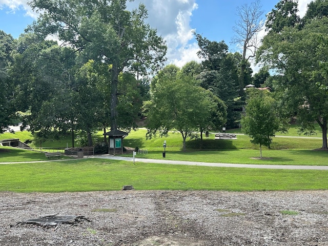 view of community with a lawn