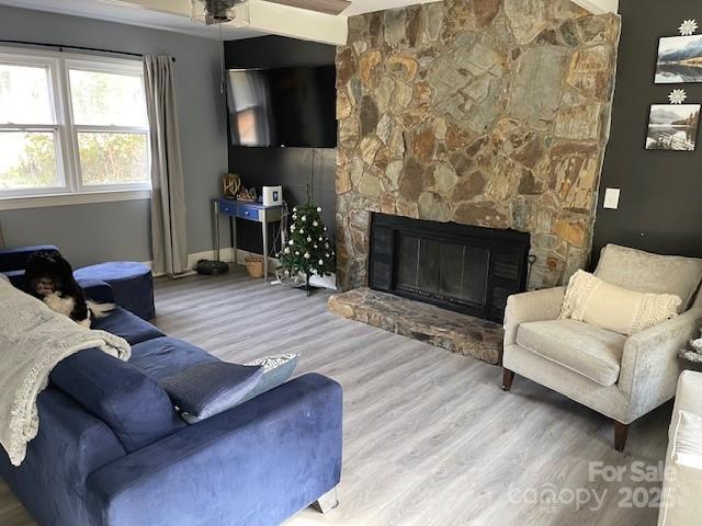 living room with a fireplace and hardwood / wood-style floors