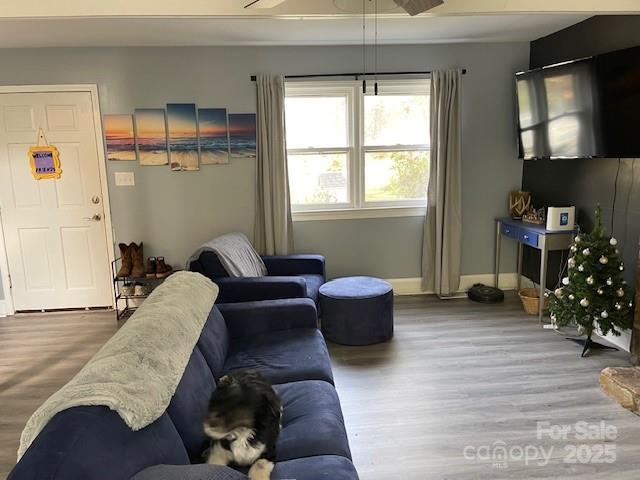 living room with ceiling fan and wood-type flooring