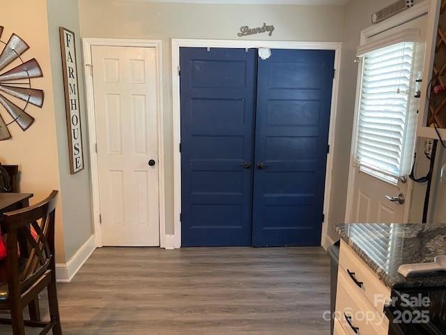 entryway featuring dark hardwood / wood-style floors