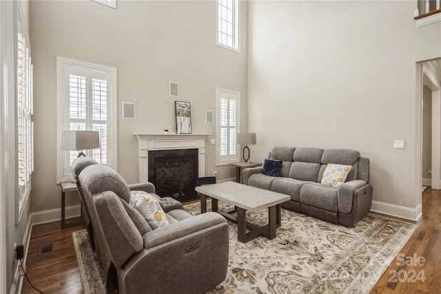 living room with a high ceiling and hardwood / wood-style flooring