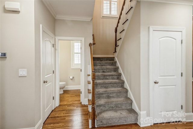 staircase featuring hardwood / wood-style floors and ornamental molding