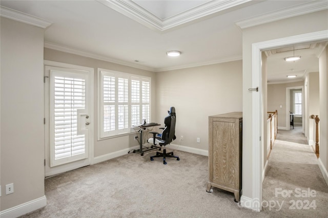 home office featuring light carpet and crown molding