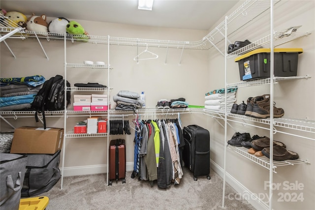 spacious closet featuring carpet flooring