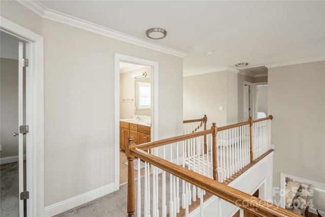 corridor featuring light carpet and ornamental molding