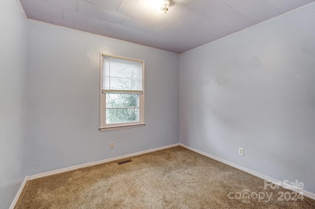 empty room featuring carpet and ornamental molding