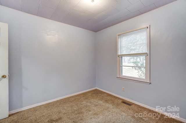 carpeted spare room featuring ornamental molding