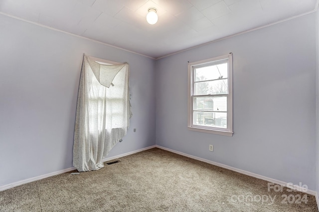 carpeted spare room featuring crown molding