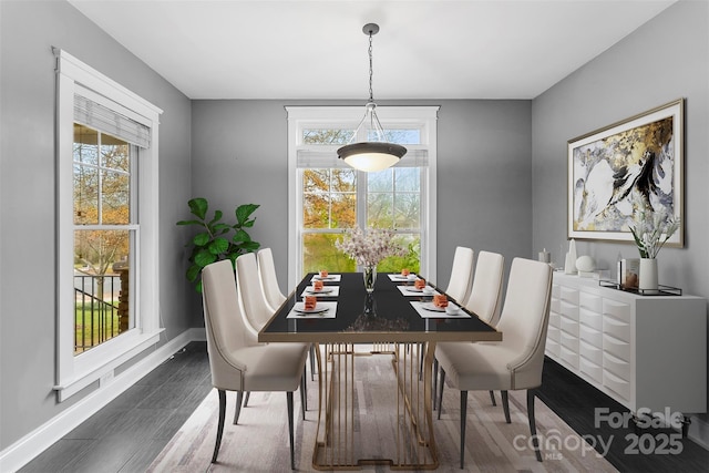 dining area with baseboards, a wealth of natural light, and wood finished floors