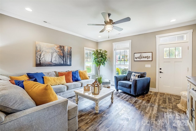 living room featuring ceiling fan, dark hardwood / wood-style flooring, and crown molding