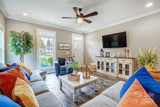 living room featuring ceiling fan, wood-type flooring, and crown molding