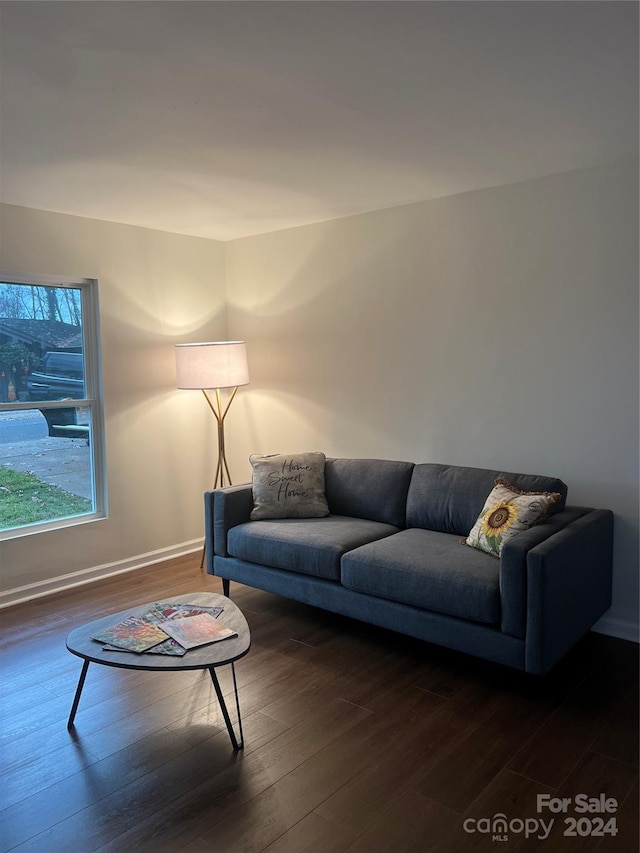 living room with dark hardwood / wood-style flooring