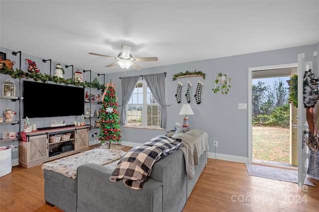 living room with light hardwood / wood-style flooring, ceiling fan, and a healthy amount of sunlight