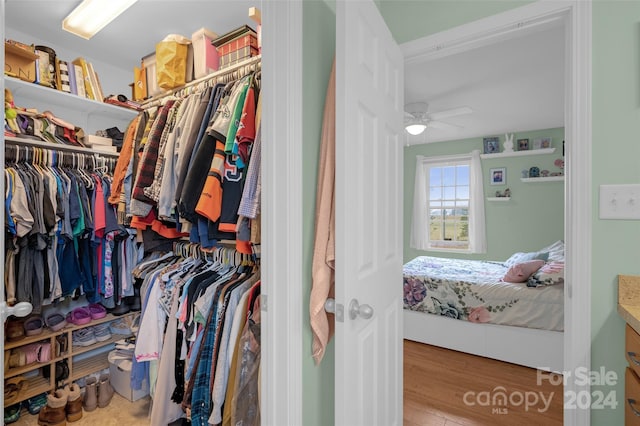 spacious closet with light hardwood / wood-style flooring and ceiling fan