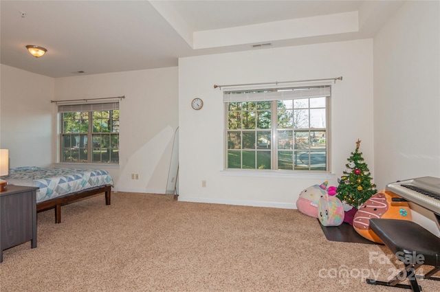 carpeted bedroom with a raised ceiling and multiple windows