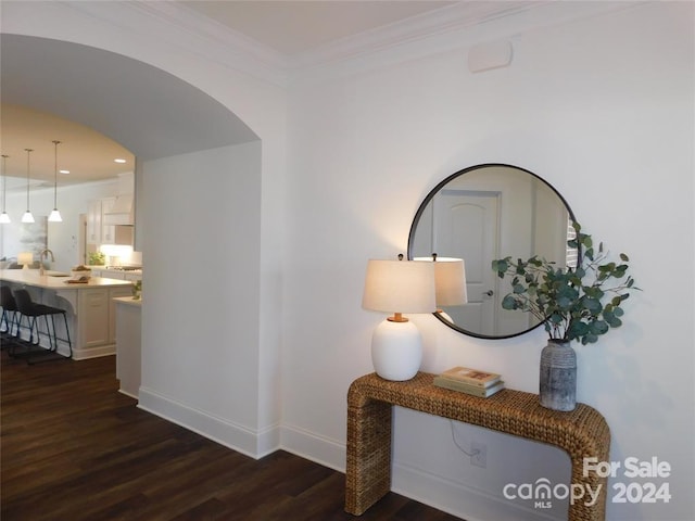 hallway with sink, dark hardwood / wood-style flooring, and crown molding