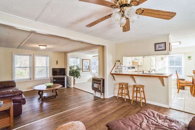 living room with dark hardwood / wood-style floors