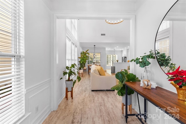 living room with a chandelier and light hardwood / wood-style flooring