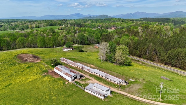 birds eye view of property with a mountain view and a view of trees