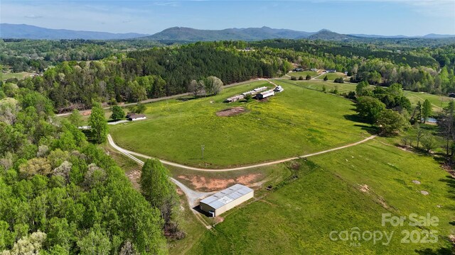 bird's eye view with a rural view, a wooded view, and a mountain view