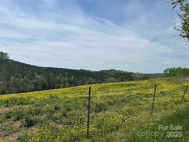 view of yard featuring a forest view, fence, and a rural view