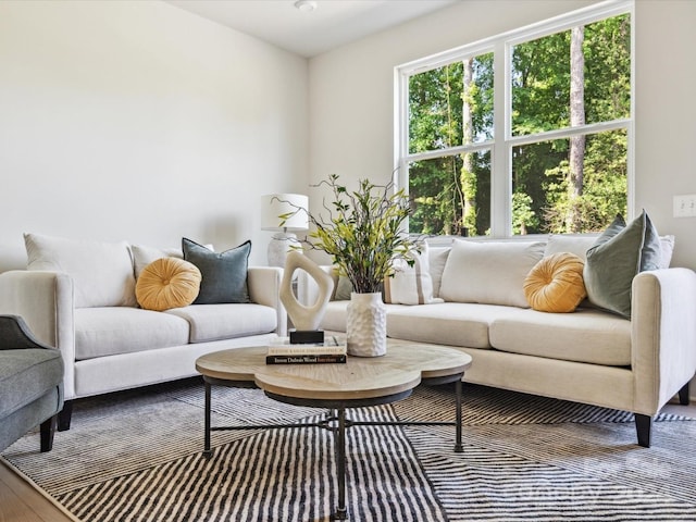 7022 Impulse Ct, Charlotte, NC 28205 - view of living room