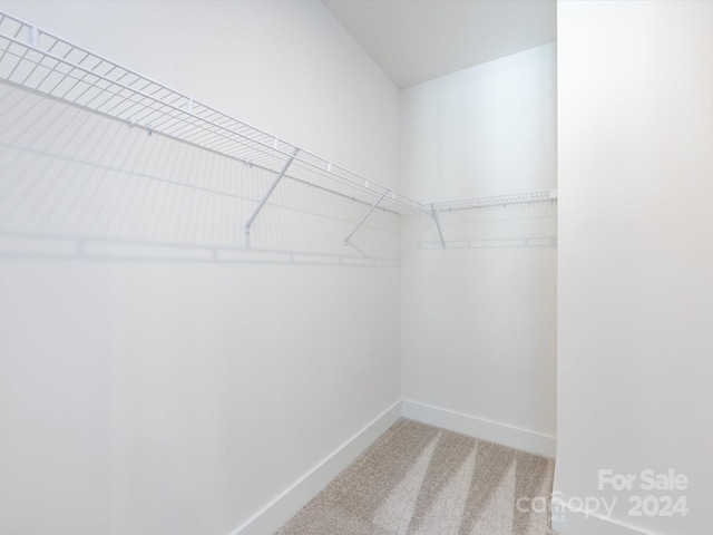 spacious closet featuring carpet floors