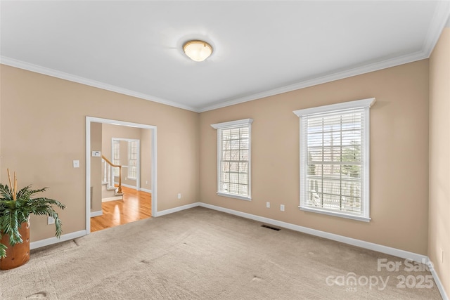 carpeted empty room with crown molding