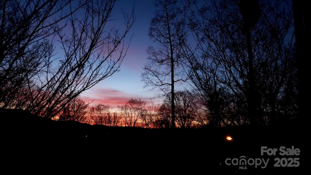 view of nature at dusk