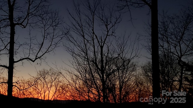 view of nature at dusk