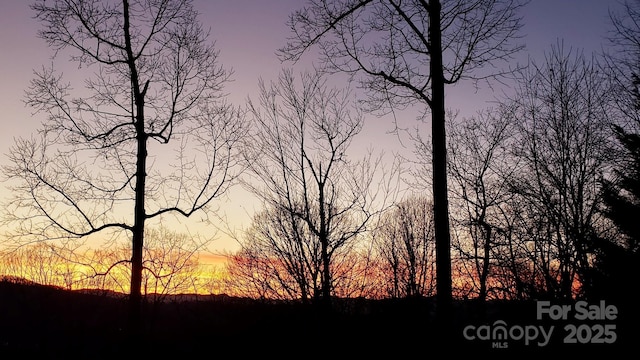 view of nature at dusk