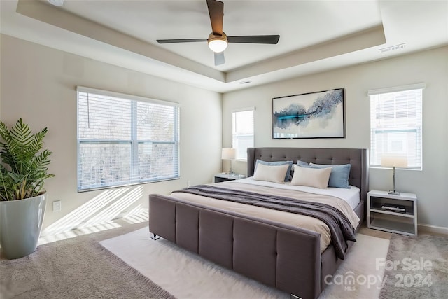 carpeted bedroom featuring ceiling fan, multiple windows, and a tray ceiling