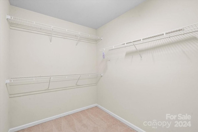 walk in closet with carpet