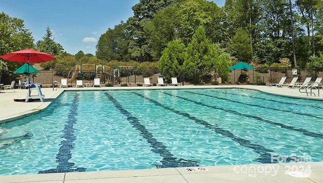 view of pool with a patio area