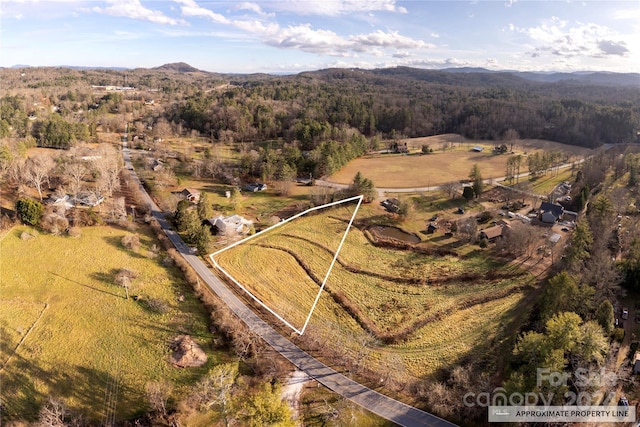 Listing photo 2 for TBD Grandview Ln, Hendersonville NC 28791