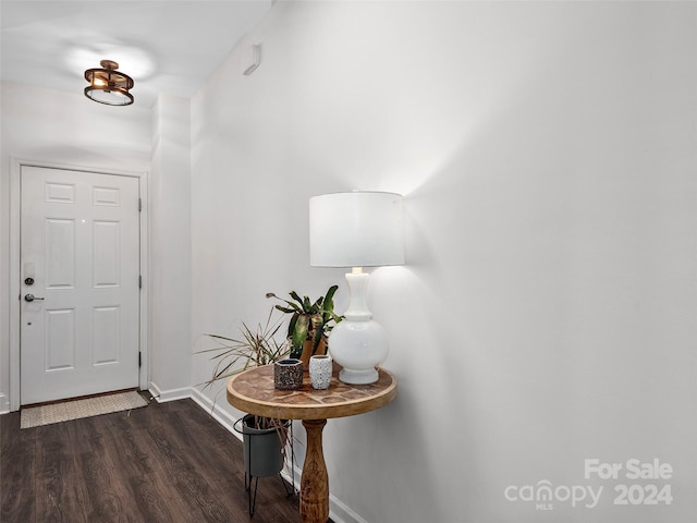 foyer with dark wood-type flooring