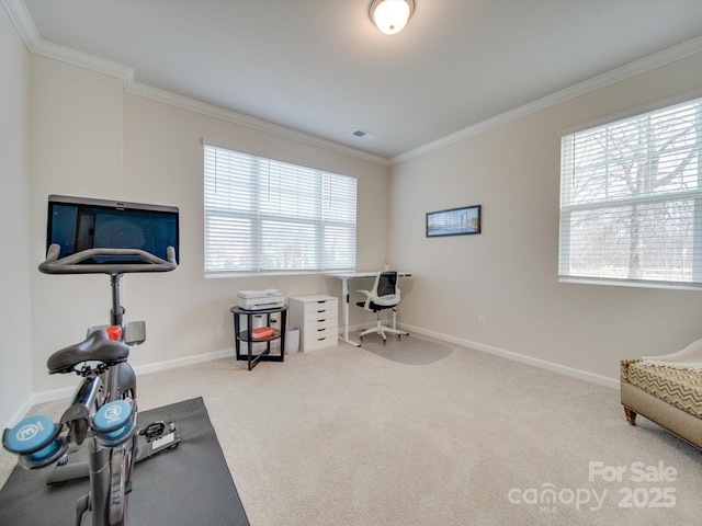 workout area featuring carpet and ornamental molding