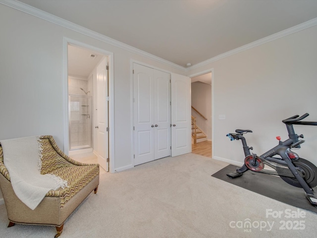 workout room featuring carpet and crown molding